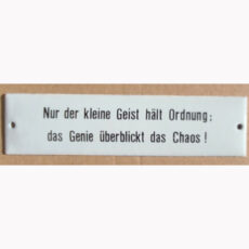 Nur der kleine Geist